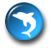 Dolphin Swim