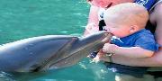 Dolphin Swim Mayan Riviera Tour