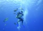 Scuba Diving Aquaworld