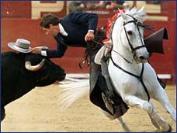 Corridas de Toros