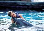 Dolphin Swim Isla Mujeres