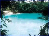 Ecology Tours