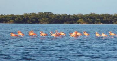Isla Holbox