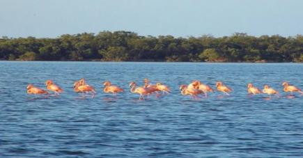 Holbox Island