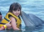 Swim with Dolphins Interactive