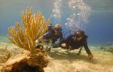 Buceo