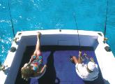Fishing Tours