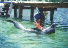 Dolphin Swim Trainer